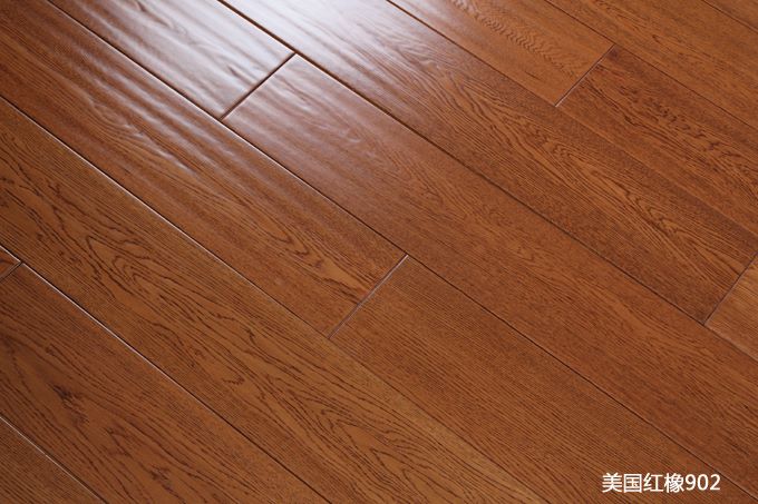 美国红橡902